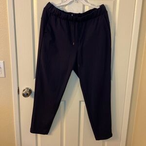 Talbots navy blue jogger pants. Size Large.